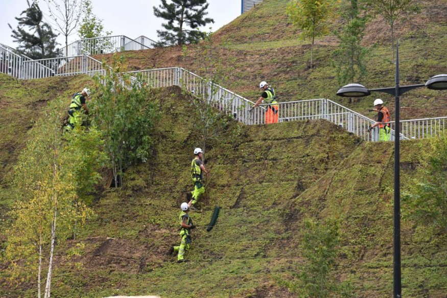 Top Landscape Architecture Firms Pledge to Zero Emissions by 2040—How Will They Do It?